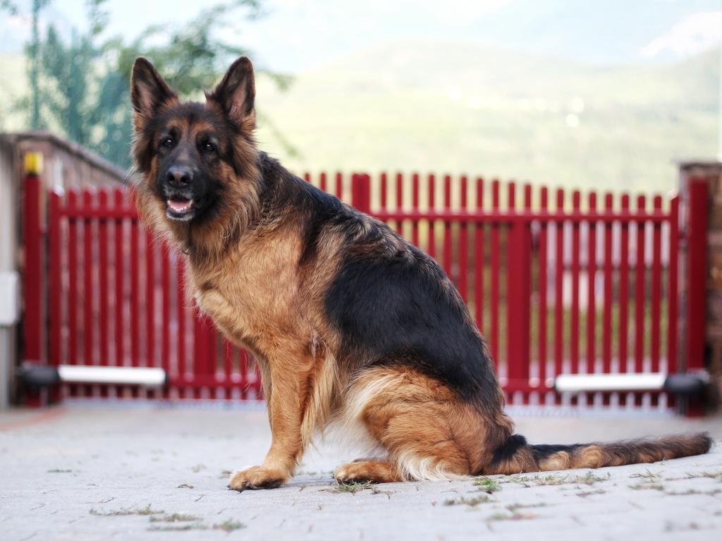 Wiesmuellerhof Caldaro Ngoại thất bức ảnh